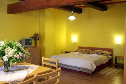 Hostal Penzion Kremenisko
