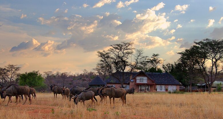 Posada Kudumela Bush Lodge