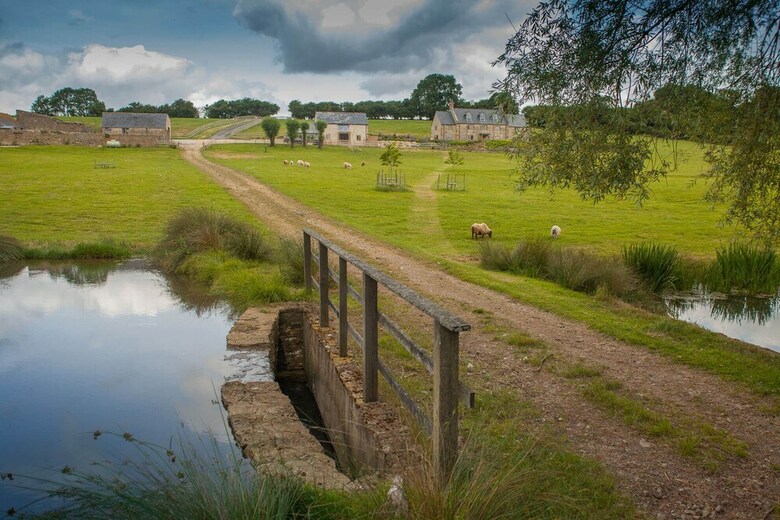 Apartamentos Goose Run Cottage