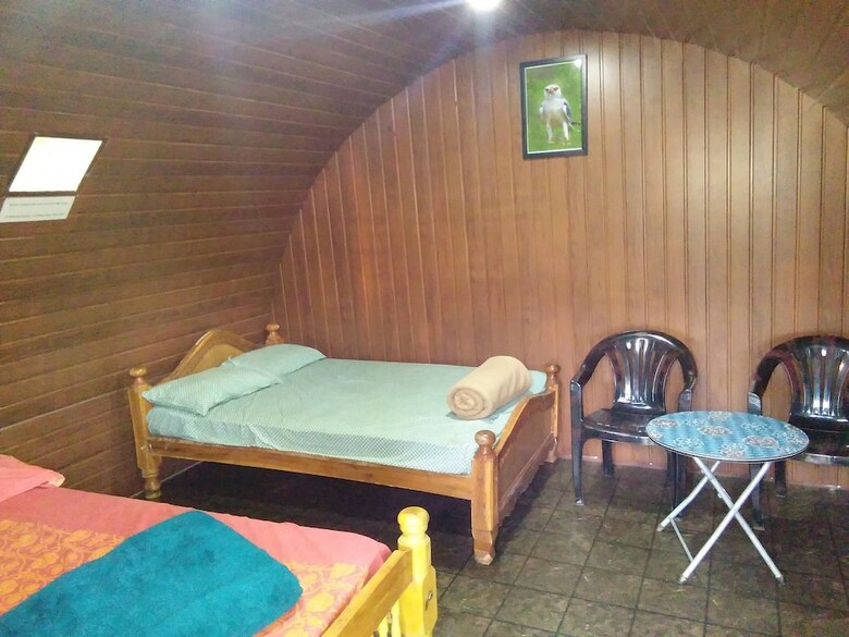 Apartamento Muccole Stay