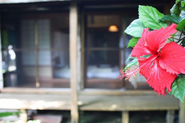Hostal Kominka Yuumi House - Hostel