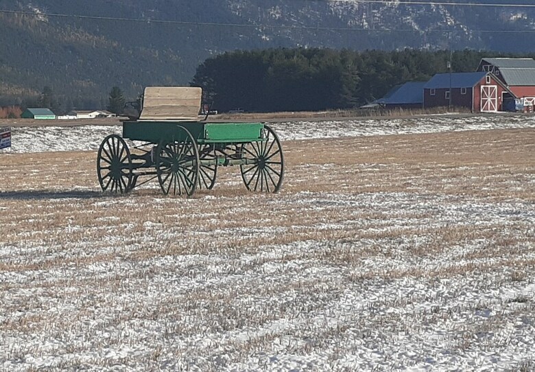 Cabana Glacier Acres Guest Ranch