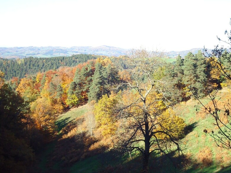 Camping Des Prairies D' Auvergne