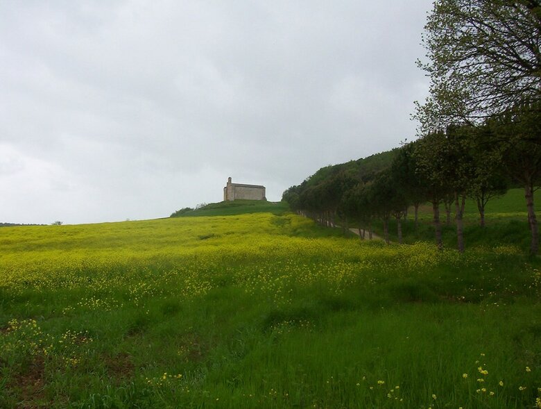 Agroturismo Agriturismo La Pieve