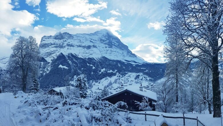 Hotel Eiger View Bed & Kitchen