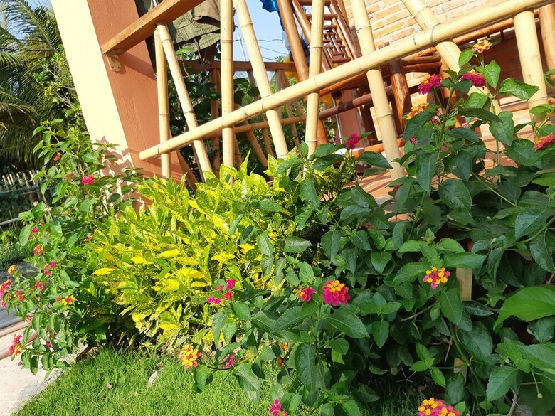 Apartamentos An An Boutique Homestay