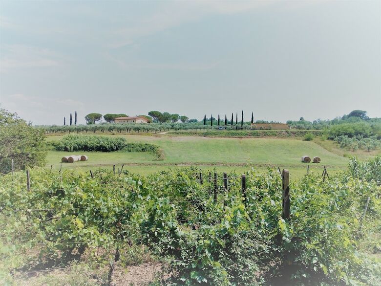 Agroturismo I Girasoli Di Lari