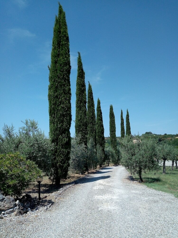 Agroturismo I Girasoli Di Lari