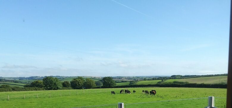 Bed & Breakfast Markstone Farm - Adults Only