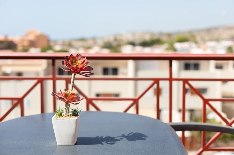 Apartamentos Dinast�a Southerly Penthouse, Pool And Terrace