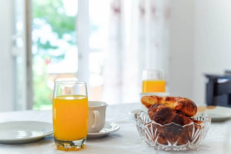 Waterfront Apartment Petrovina