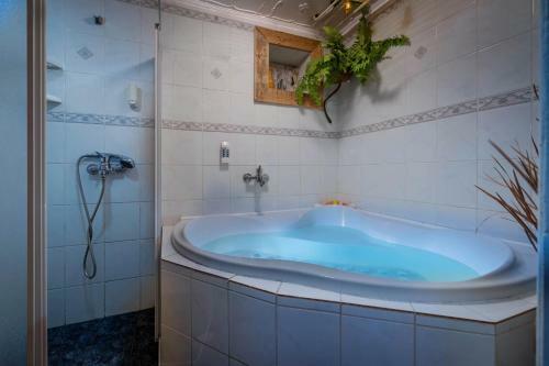 Hostal Vila House Family