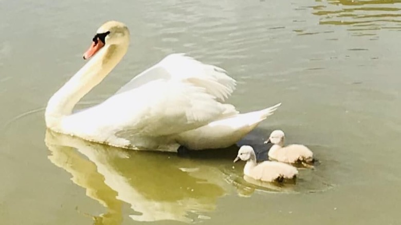 Hotel Logis de La Clarti�re