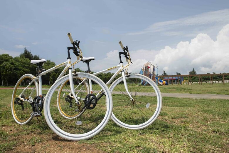 Apartamentos Pine Hills Hotel Miyakojima