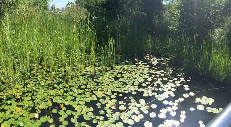 Apartamento Entre Mer Et Mer