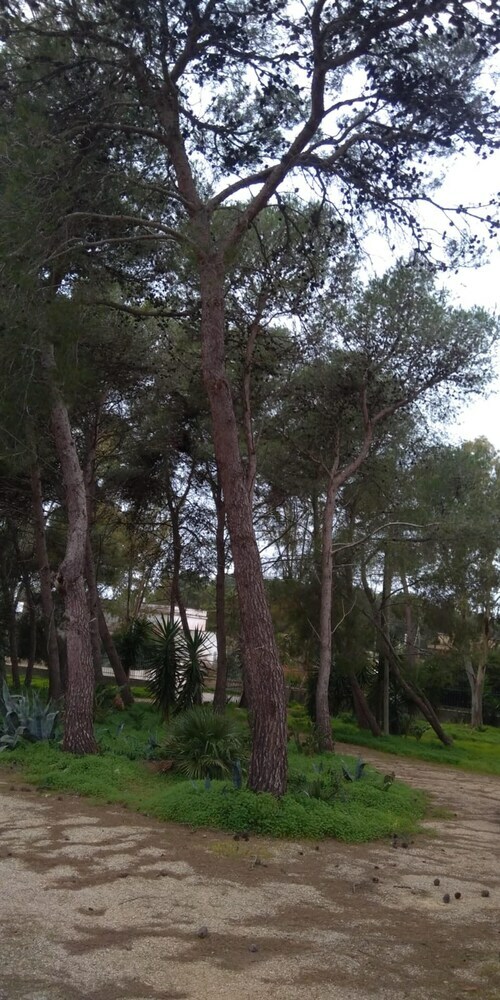 Apartamento Studio In Cenate Di Nardo, With Furnished Terrace