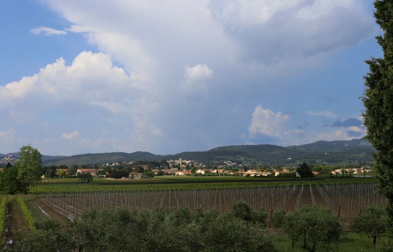 Domaine de Mas Caron