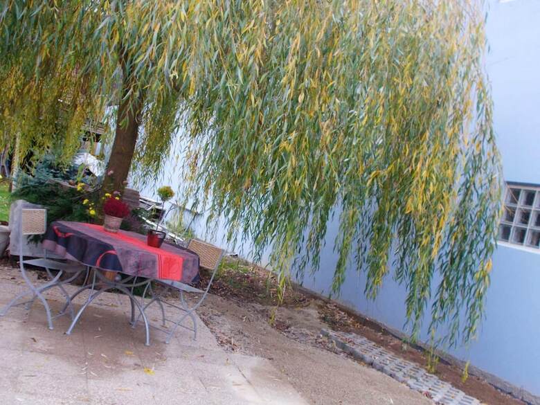 Apartamento Studio In Valff, With Enclosed Garden And Wifi