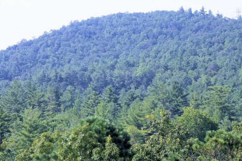 North Carolina Mountain Retreat