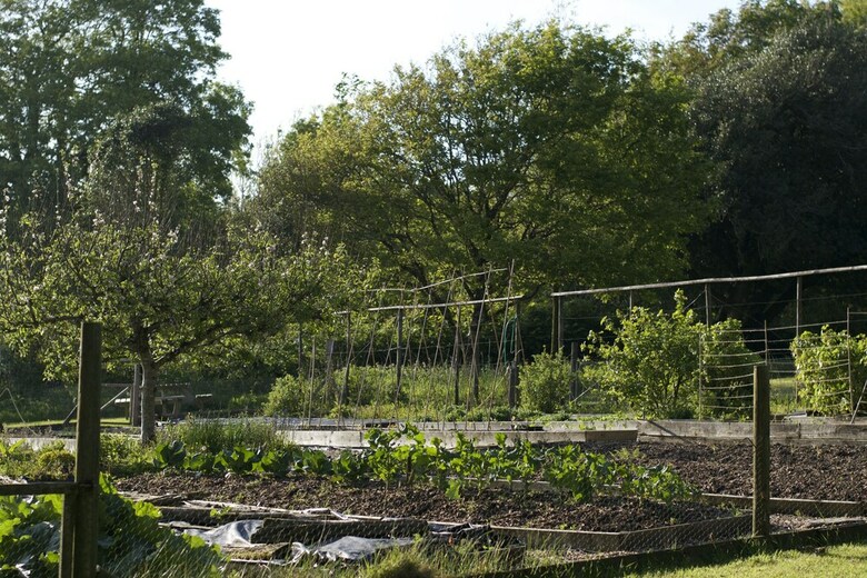 Bed & Breakfast Holwell Holistic Retreat - Adults Only