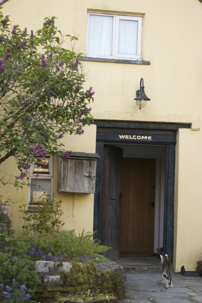 Bed & Breakfast Holwell Holistic Retreat - Adults Only