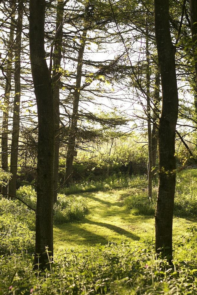 Bed & Breakfast Holwell Holistic Retreat - Adults Only