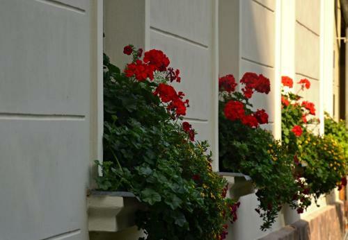 Hostal Penzion Pri Kastieli Betliar