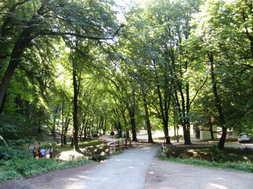 Aparthotel Apt Hotel & Restaurant Ivica