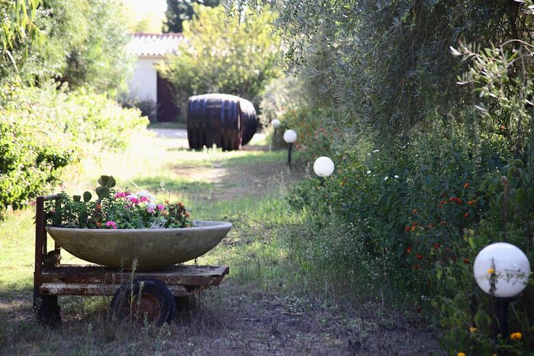 Agroturismo Agriturismo S'anea