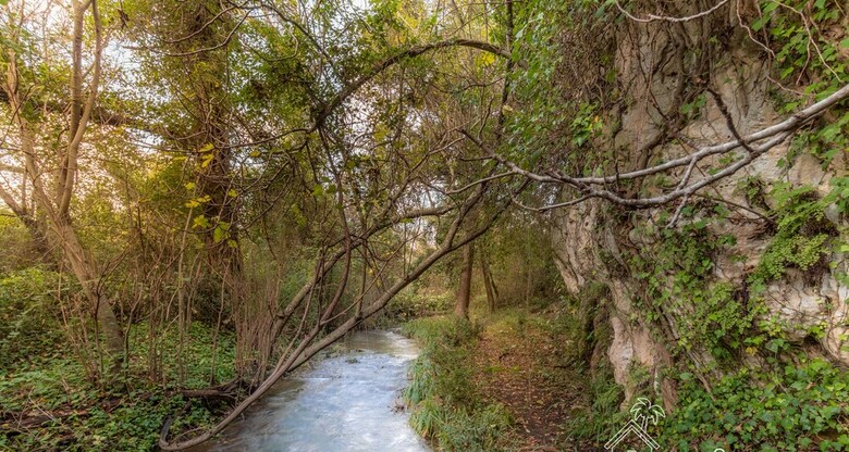 La Casa Sul Fiume