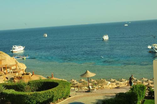 Apartamentos Sharks Bay Oasis