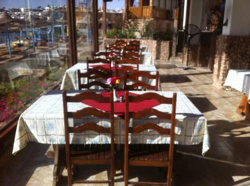 Apartamentos Sharks Bay Oasis