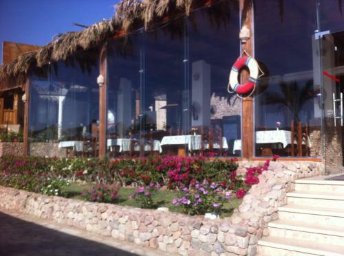 Apartamentos Sharks Bay Oasis