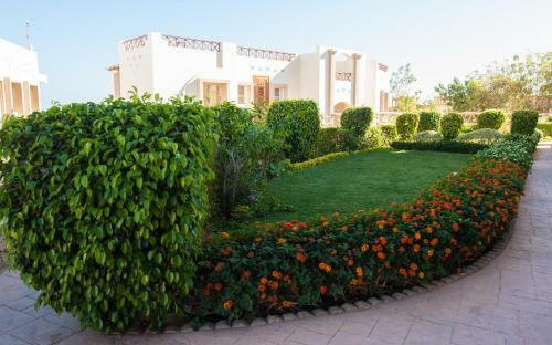 Apartamentos Sharks Bay Oasis
