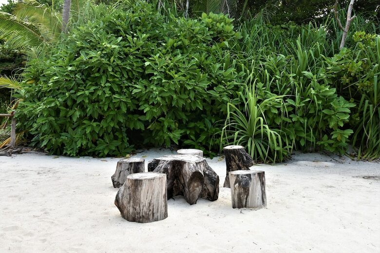 Hotel Kuri Beach View Inn