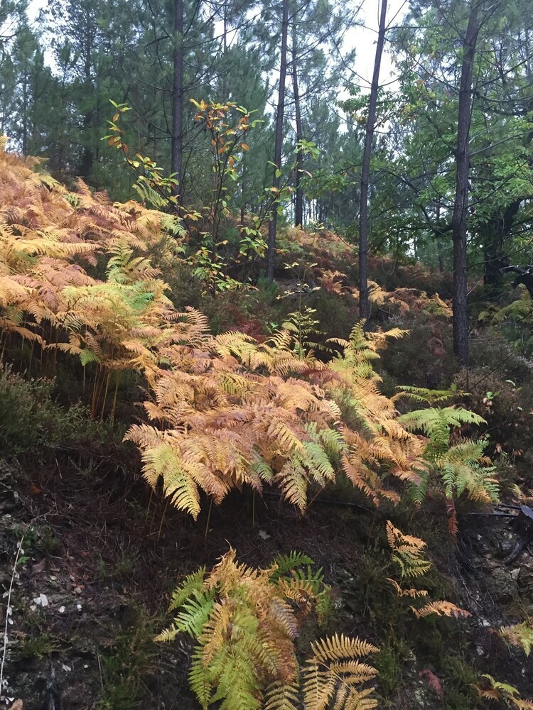 Hotel Le Couvent Cot� Jardin