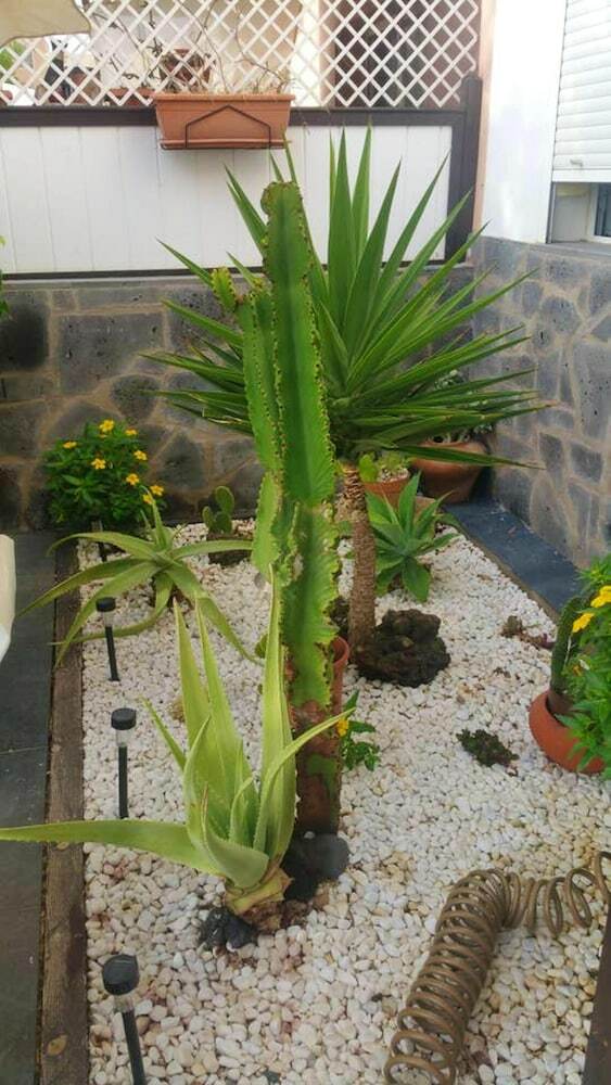 Apartment With 2 Bedrooms In Corralejo, With Wifi