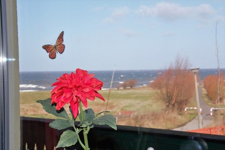 Apartamentos Haus Am Meer