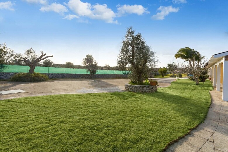 Tenuta Degli Ulivi