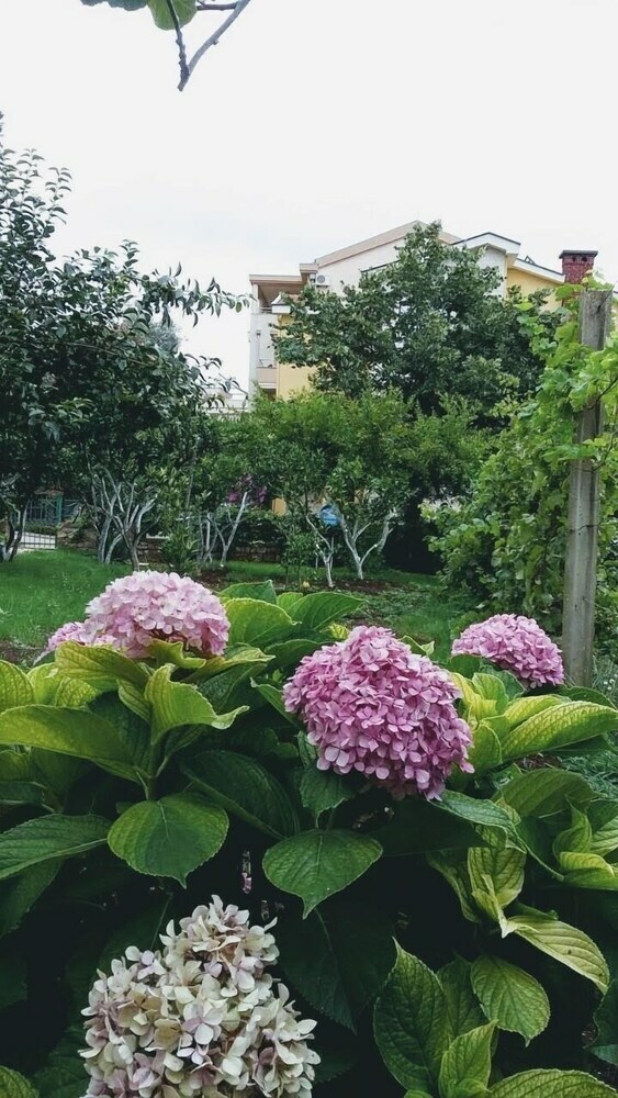 Apartamentos Guest House Djonovic