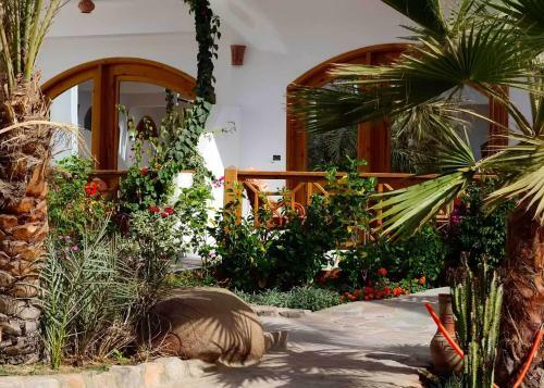 Hotel Planet Oasis Resort Dahab