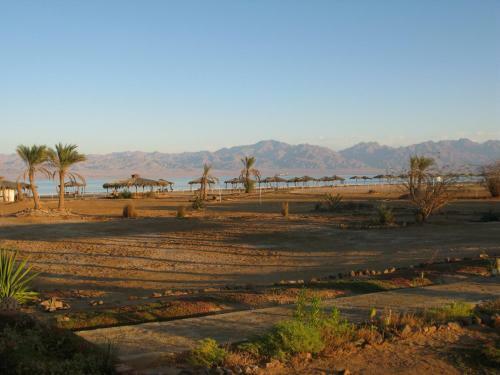 Swisscare Nuweiba Resort Hotel