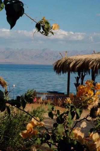 Albergue Nakhil Inn And Dream