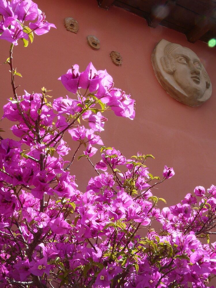 Hotel B & B Li Rioni