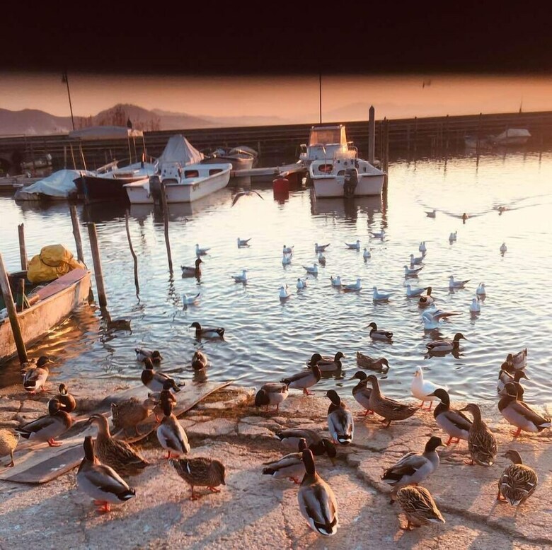 Agroturismo Borgo Cenaioli