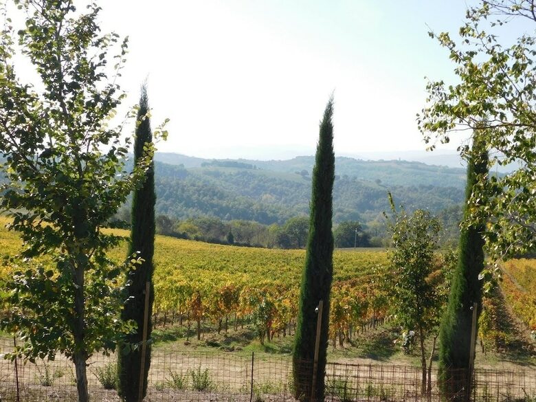 Agroturismo Borgo Cenaioli