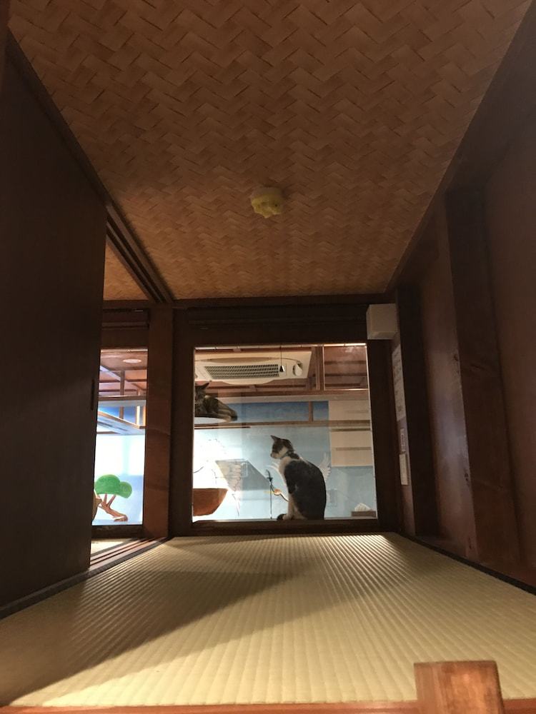 Hostal Neco Yokujo & Neco Hatago Neco Requblic - Hostel
