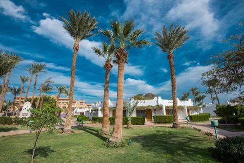 Hotel Shams Safaga Resort