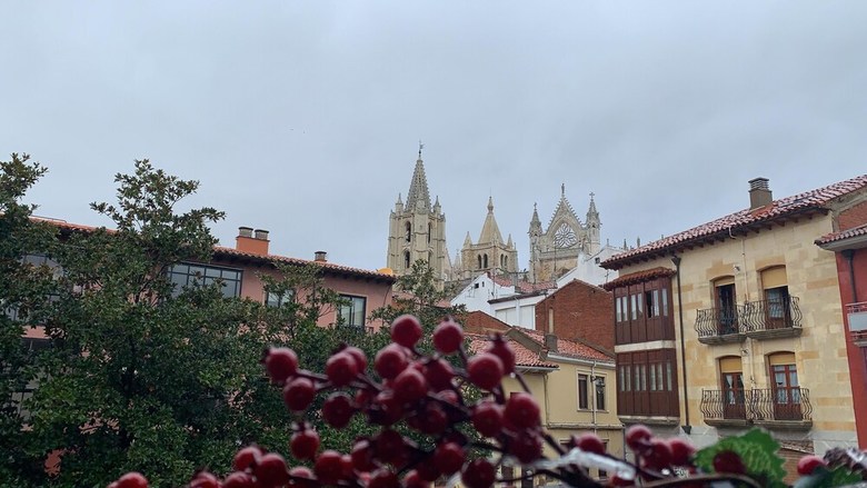 Apartamento Studio In Le�n, With Wonderful City View And Wifi