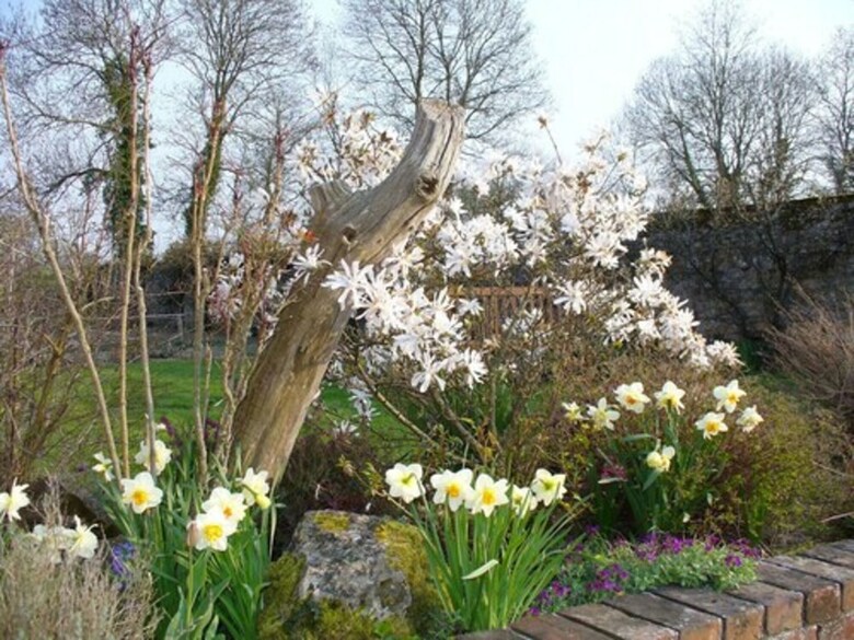 Bed & Breakfast La Ferme Du Mott�